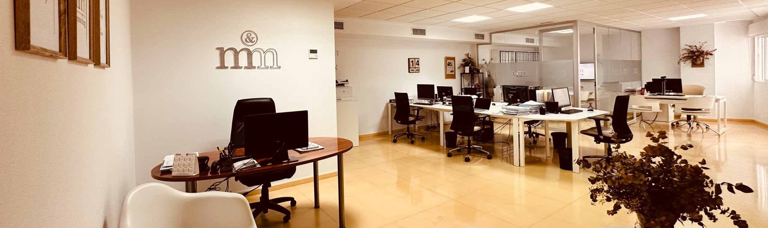 MIRA MEGIAS CONSULTING