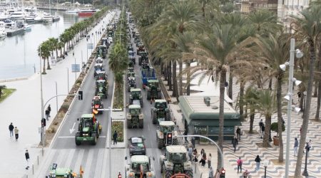 Asaja. Tractorada protesta MERCOSUR. AGRICULTORES