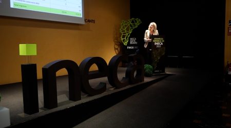 Asamble INECA