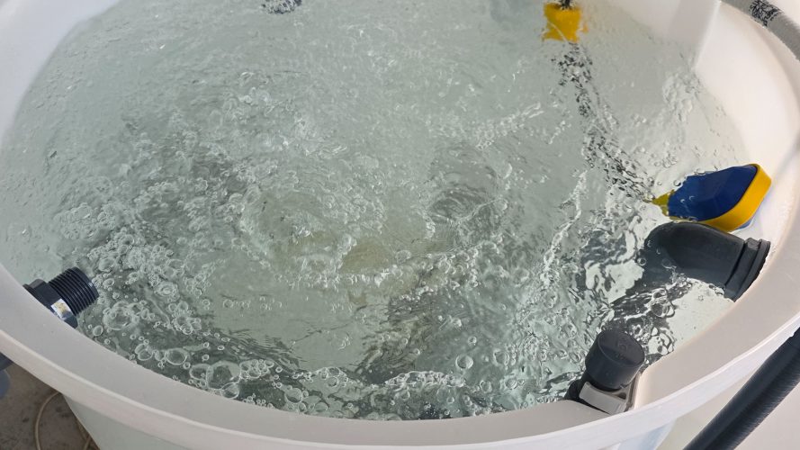 REDES HORIZONTAL.00_00_49_28.Imagen fija006