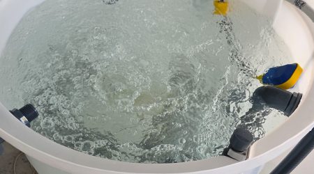 REDES HORIZONTAL.00_00_49_28.Imagen fija006